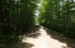 N9099 E Shore Road, Marenisco, MI 49947