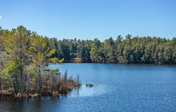 6844 BENGS RD, Three Lakes, WI 54562