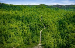 1687 Delk Creek Rd, Pall Mall, TN 38577