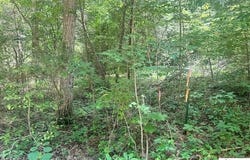 119 Mockingbird Lane, Mammoth Cave, KY 42259