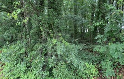 0 HWY 17 ALT, Toccoa, GA 30577