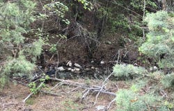 Tract B 266 Gallina Canyon Road, Valdez, NM 87580
