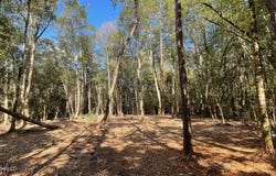 Old Hwy 49, Saucier, MS 39574