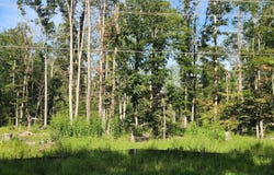 HAWTHORNE, LA PLATA, MD 20646