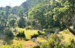 10504 Bachelor Valley Road, Upper Lake, CA 95493