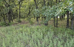 S 465th West Avenue, Bristow, OK 74010