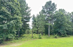000 Citation Rd Street, Clinton, AR 72031-0000
