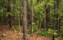 2683 33 Highway, Crosby, MS 39633
