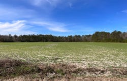 6005 Old Salkehatchie Rd, Early Branch, SC 29916