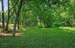 123 Forest St, Middleton, MA 01949