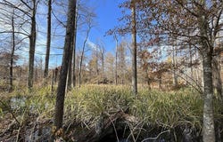 Junction City, AR 71749