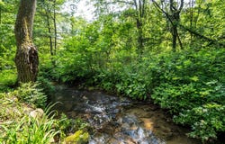 266 Laurel Road, Lehighton, PA 18235