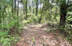 OBrien, FL 32071