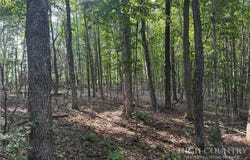 US Highway 221, Jefferson, NC 28640