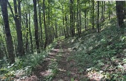796 Goat Mountain Road, Zionville, NC 28698