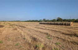 McMasers Road lot: 68, Alice, TX 78332