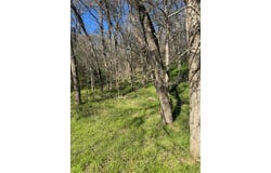 Lots 638. 639. 640 Kaukonahua LN, Bastrop, TX 78602