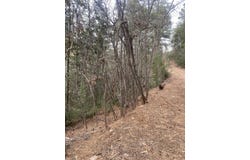4 Devils Tower Ln, High Rolls Mountain Park, NM 88325-0000