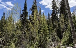 370 N. Arrowleaf Dr, Brian Head, UT 84719