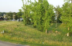 SIPSEY SHORES Dr, Jasper, AL 35503