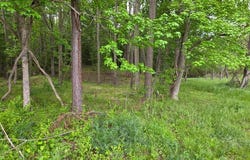 Parcel B Northumberland Hwy, HEATHSVILLE, VA 22473