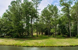 166 Falls Landing Way, Wallace, NC 28466