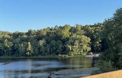 135 Bill Leach, Romance, AR 72136