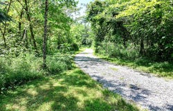 2646 Maples Branch Road, Sevierville, TN 37876