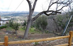 Azalea, Julian, CA 92036