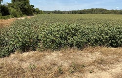 792 CR 351, GREENWOOD, MS 38930