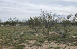 317-20-049 N Agate Road, Dolan Springs, AZ 86441