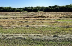 Tbd 12 W Audie Murphy Parkway, Farmersville, TX 75442