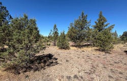 Bunny Lane lot: 2, Montague, CA 96064