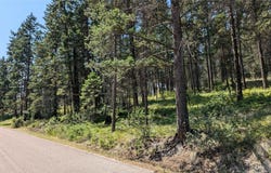 106 Timberlane Terrace, Lakeside, MT 59922