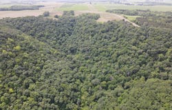 TBD 230th Ave, Wabasha, MN 55981