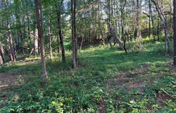 0 MCCULLERS Lane, Loganville, GA 30052