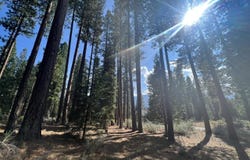 655 Bobcat Trail, Clio, CA 96106