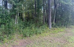 2539 Chauncey Town Road, Lake Waccamaw, NC 28450