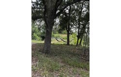 6739 Taylorsville RD, Dale, TX 78616