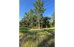 3226 Shadow Pine Drive, Larue, TX 75770