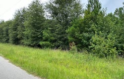 200 Barkley Street, Eutawville, SC 29048