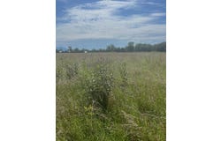 Tract 4  Highway 83, Howe, OK 74940