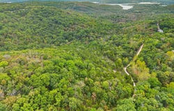 Green Gables Lane, Reeds Spring, MO 65737