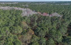 Ben Giddens Road lot: 4, Eastman, GA 31023