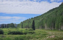 167 Meadowview Drive, Durango, CO 81301