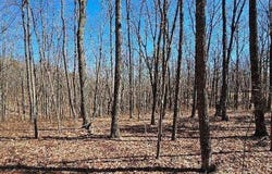 0 Bluff View Dr W, Dunlap, TN 37327