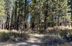 119 Saddle Ridge Road, Clio, CA 96106
