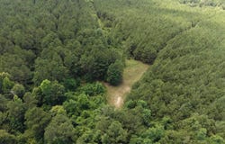 Junction City, AR 71749