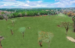 10794 County Road 334, Tyler, TX 75708