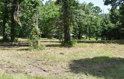 1390 Fm 906 W, Powderly, TX 75473
